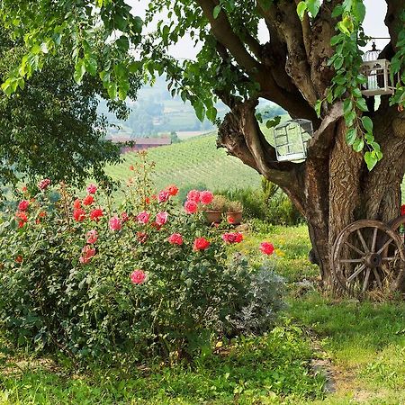Agriturismo Albarossa Nizza Monferrato Exteriör bild