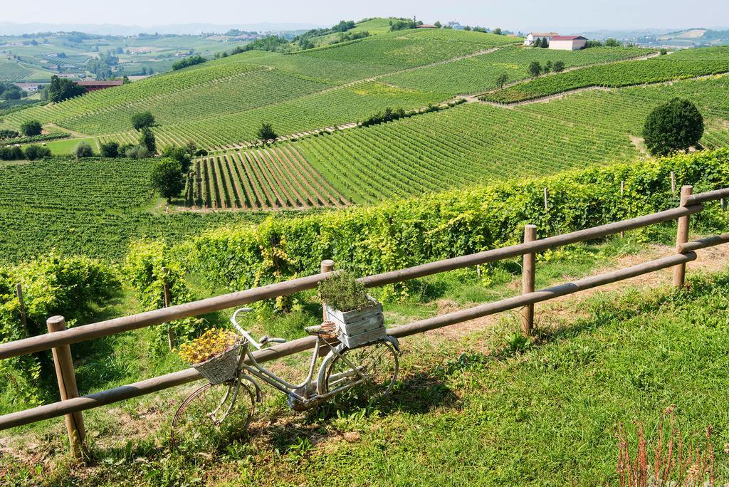 Agriturismo Albarossa Nizza Monferrato Exteriör bild