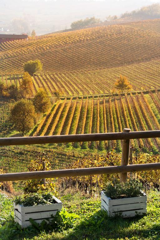 Agriturismo Albarossa Nizza Monferrato Exteriör bild