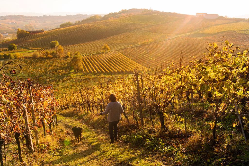 Agriturismo Albarossa Nizza Monferrato Exteriör bild