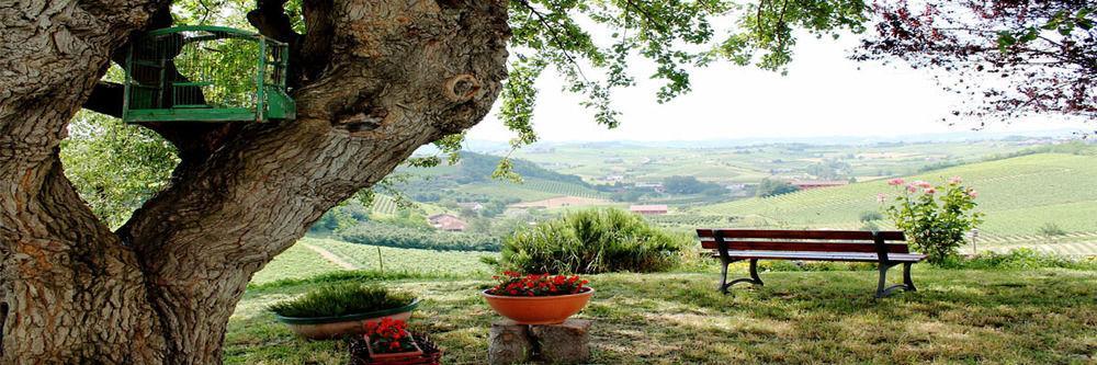 Agriturismo Albarossa Nizza Monferrato Exteriör bild