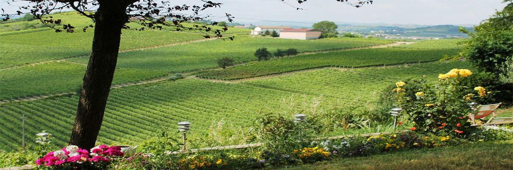 Agriturismo Albarossa Nizza Monferrato Exteriör bild
