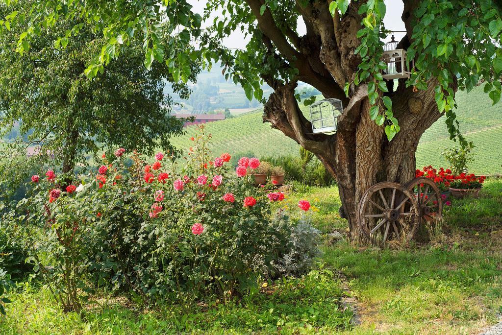 Agriturismo Albarossa Nizza Monferrato Exteriör bild