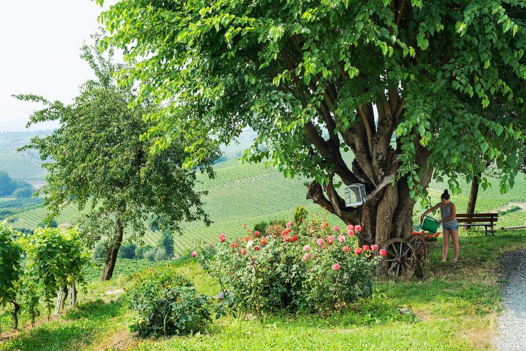 Agriturismo Albarossa Nizza Monferrato Exteriör bild