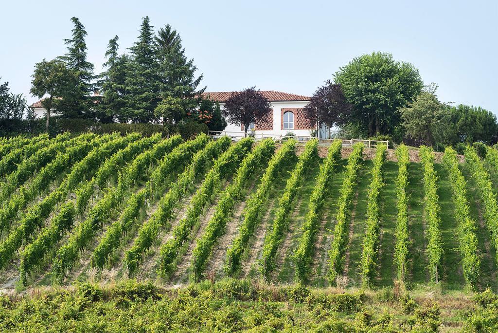 Agriturismo Albarossa Nizza Monferrato Exteriör bild
